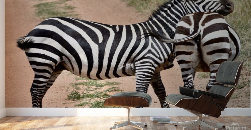 DSC 7332 Wall Murals