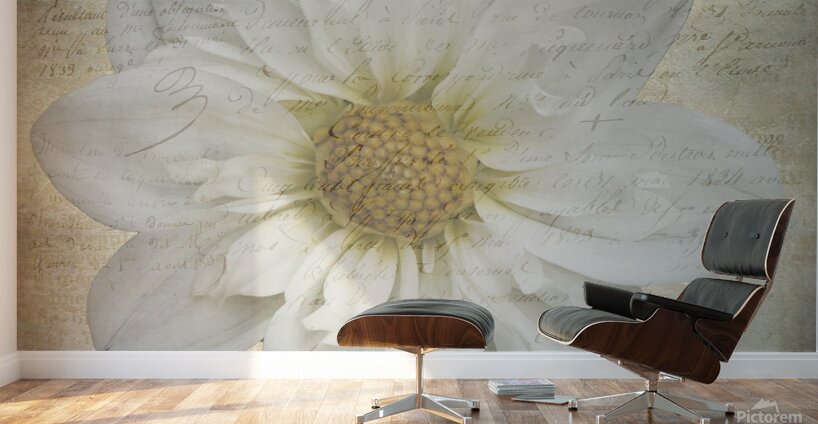 French Script White Dahlia Wall Murals