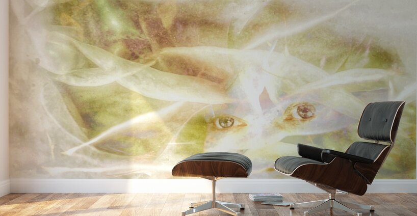 V1085 Wall Murals