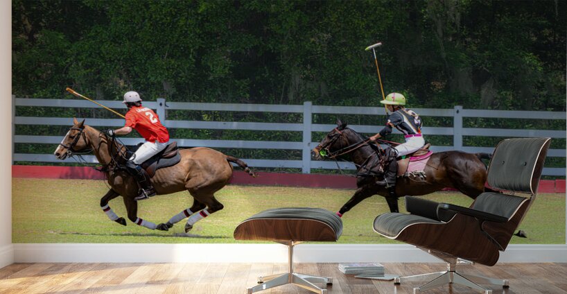 BZ9 2607 Enhanced NR Wall Murals