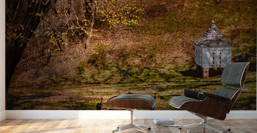 Old City Cemetery Bird House Wall Murals