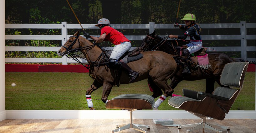 BZ9 2625 Enhanced NR Wall Murals