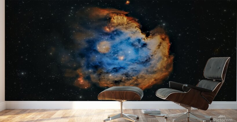 Monkey Head Nebula SHO Wall Murals
