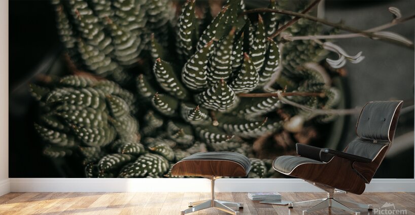 PHYTOLOGICAL_101 Wall Murals