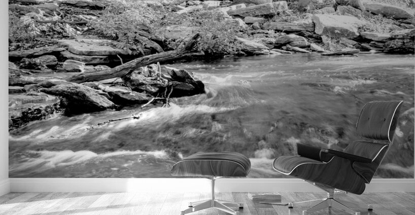 Tanyard Creek Rushing Water Grayscale Wall Murals