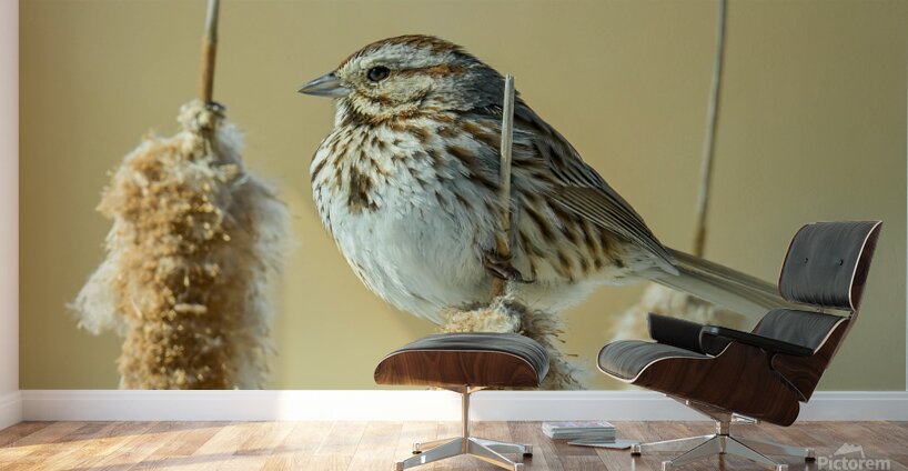 Z8P 9853 M Wall Murals