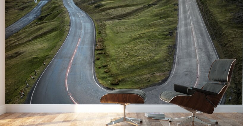 Aerial view of Cuckoo Bend Wall Murals