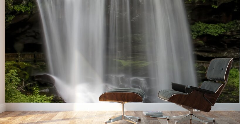 Dry Falls - Falling Majesty Wall Murals