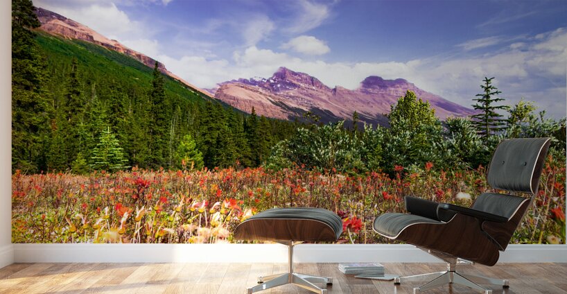 Canadian Rocky Mountain Indian Paintbrush Wall Murals