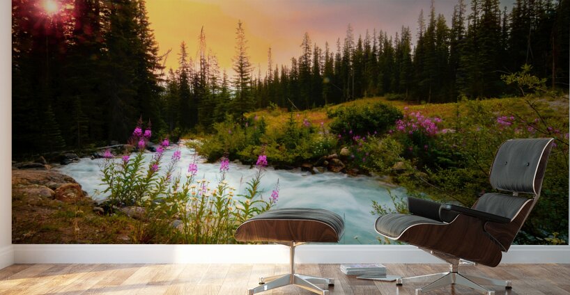 Lake Moraine Wildflowers Sunset Wall Murals