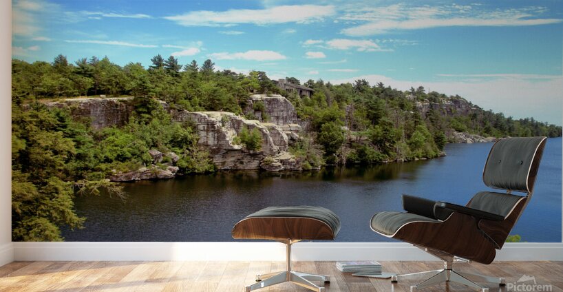 Minnewaska The Lake Wall Murals