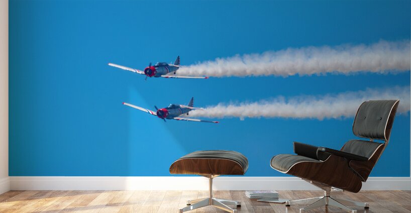 AT-6 Texans - 1 Wall Murals