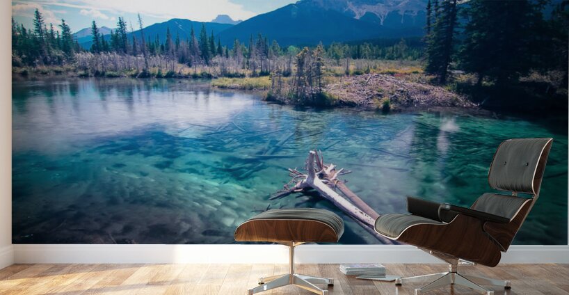 Banff Alberta Canada Bow River Canmore Wall Murals