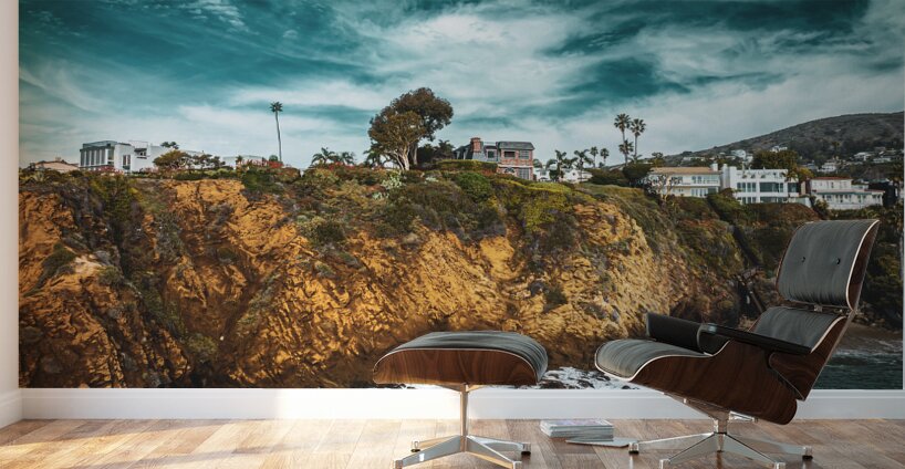Laguna Beach Wall Murals