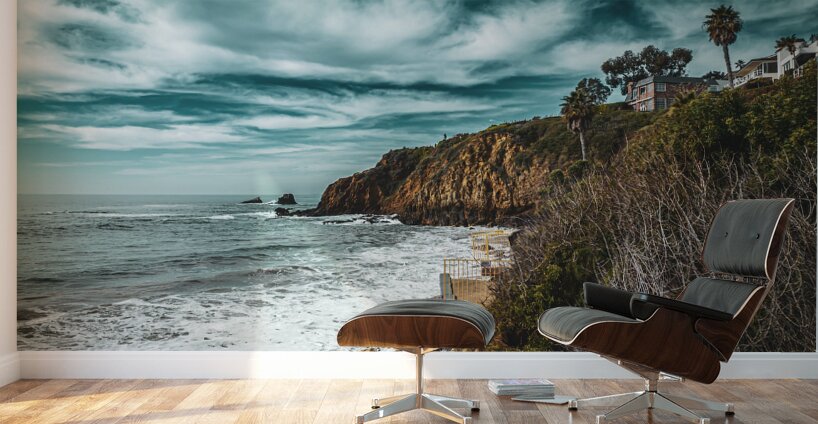 Laguna Beach Wall Murals