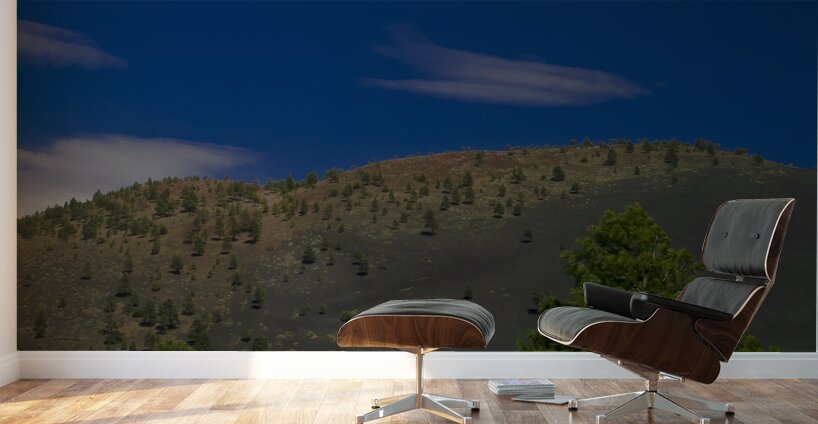Sunset Crater Volcano National Monument AZ 46 46. Wall Murals