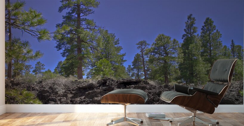 Sunset Crater Volcano National Monument AZ 46 36. Wall Murals