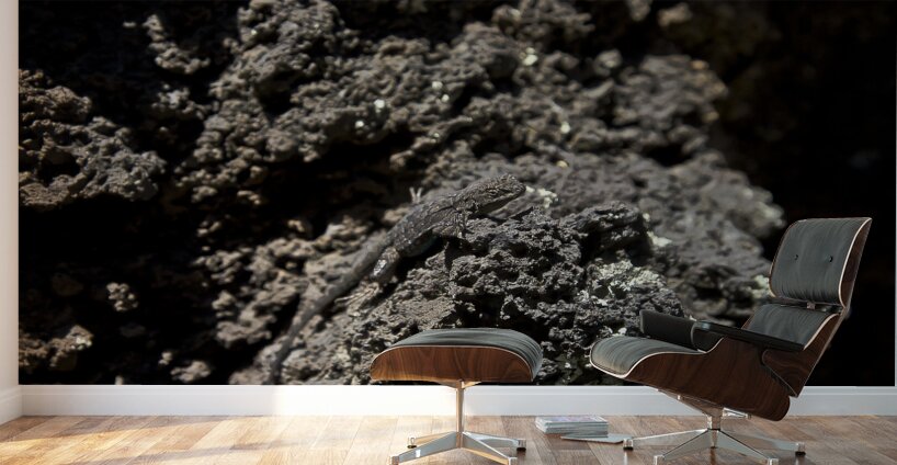 Sunset Crater Volcano National Monument AZ 46 11. Wall Murals