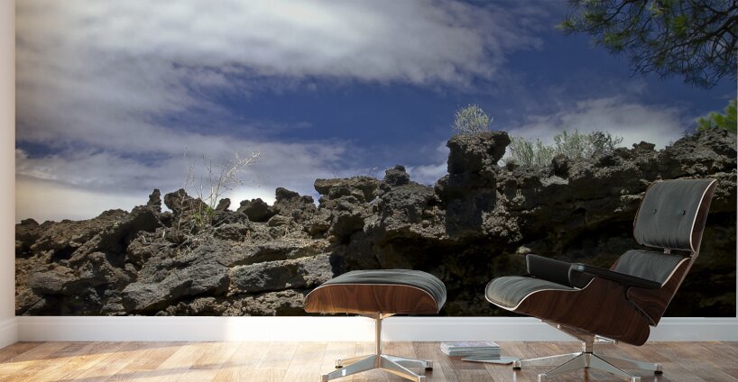 Sunset Crater Volcano National Monument AZ 46 14. Wall Murals