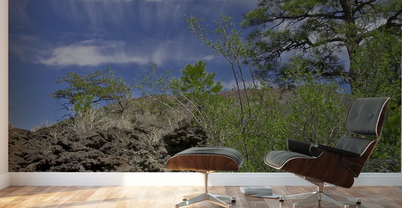 Sunset Crater Volcano National Monument AZ 46 22. Wall Murals