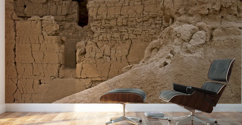 Casa Grande Ruins National Monument AZ 66 Wall Murals