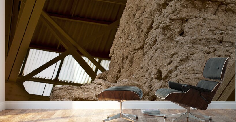 Casa Grande Ruins National Monument AZ 58 Wall Murals