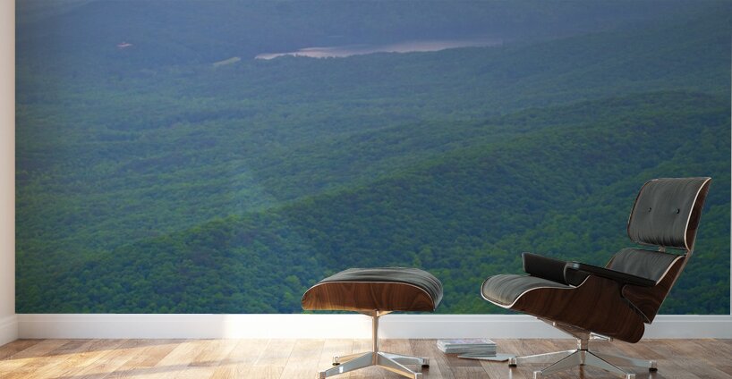 DSC 0076 Wall Murals