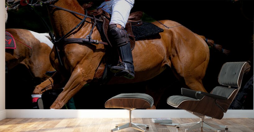 BZ9 1288 Enhanced NR Wall Murals