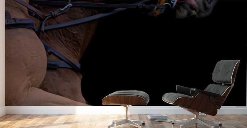 BZ9 4165 Enhanced NR Wall Murals