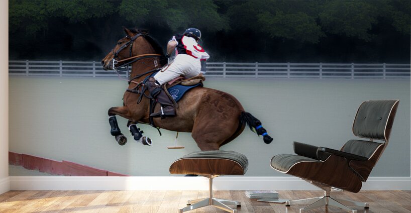 BZ9 4651 Enhanced NR Wall Murals