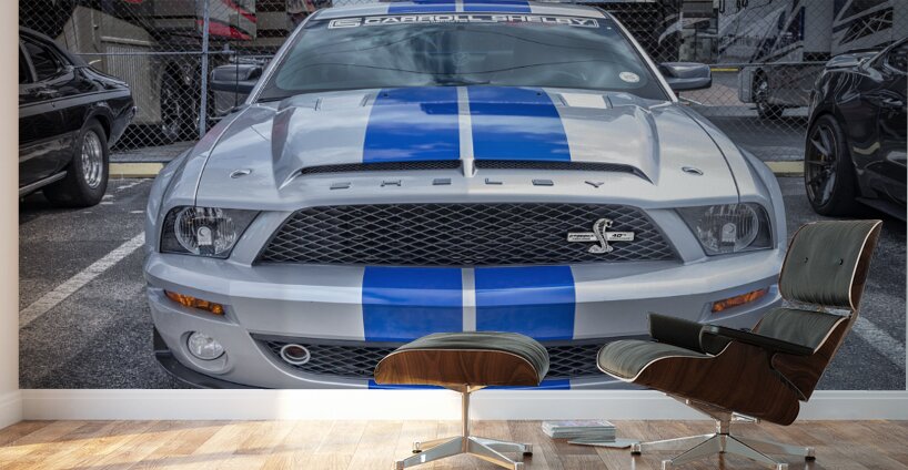 2008 Ford Shelby GT500KR X 2 Wall Murals
