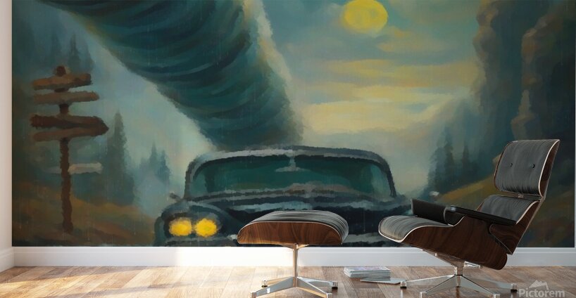 Sticky Shed Radio Wall Murals