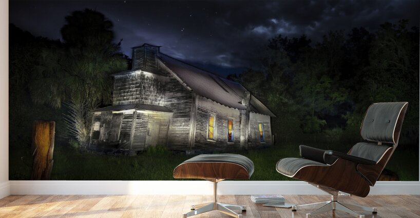 The Abandoned  Wall Murals