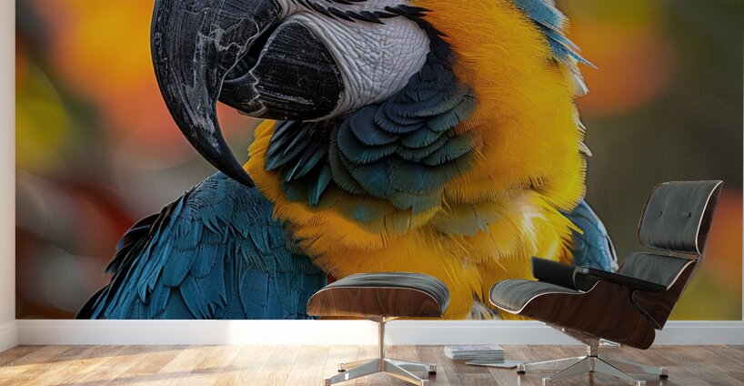 Breathtaking Macaw Wall Murals