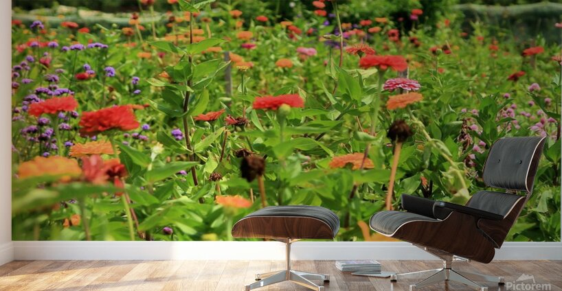 Sunflower Series 2 Wall Murals