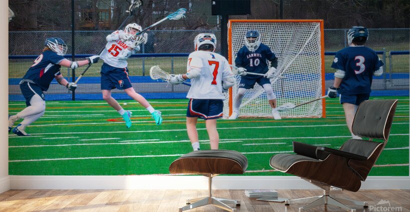 Potsdam Lacrosse Wall Murals