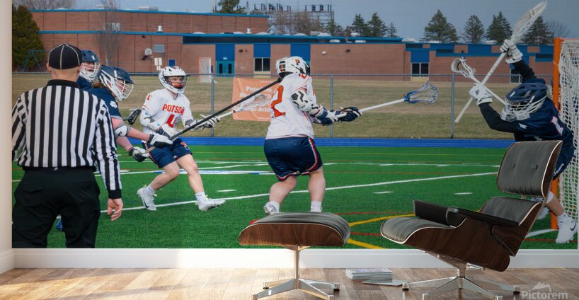 Potsdam Lacrosse Wall Murals