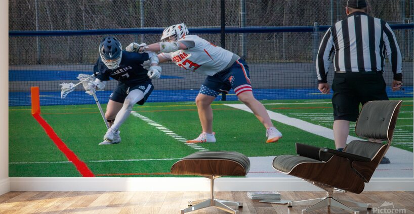 Potsdam Lacrosse Wall Murals