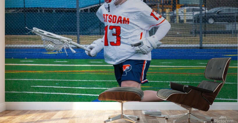 Potsdam Lacrosse Wall Murals