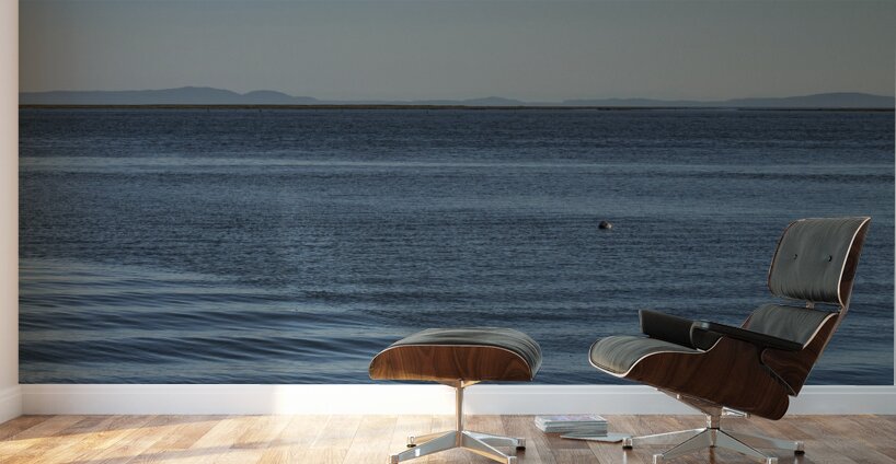 BLUEWATER 2022 Wall Murals