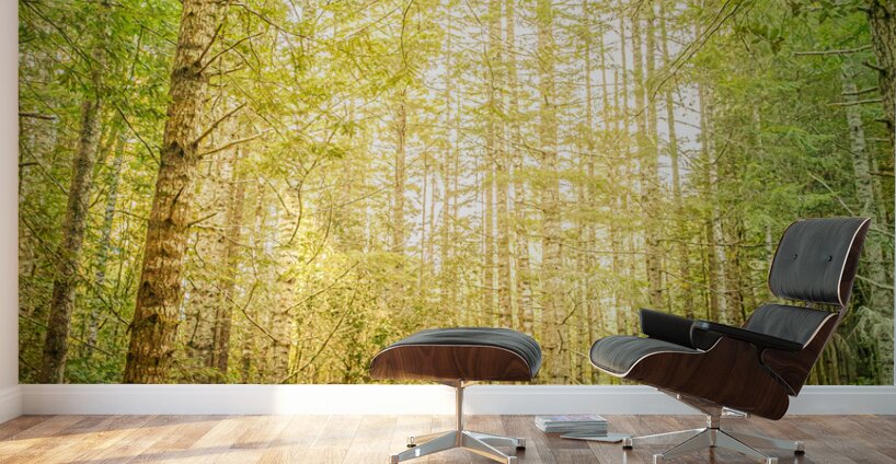 Crossing Over Wall Murals