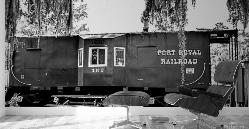 Port Royal Railroad Black And White Wall Murals