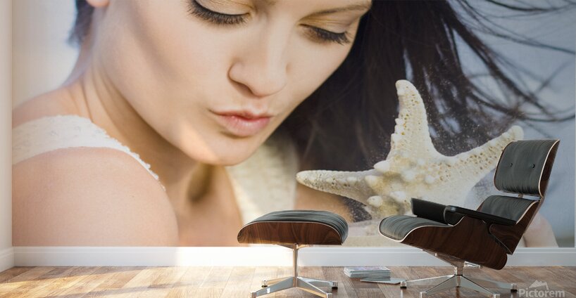 Five Star Holiday Wall Murals