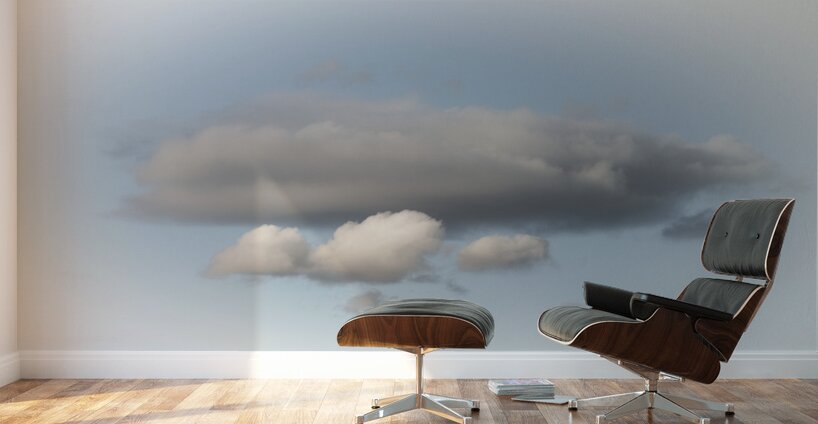 20220330 475 Wall Murals