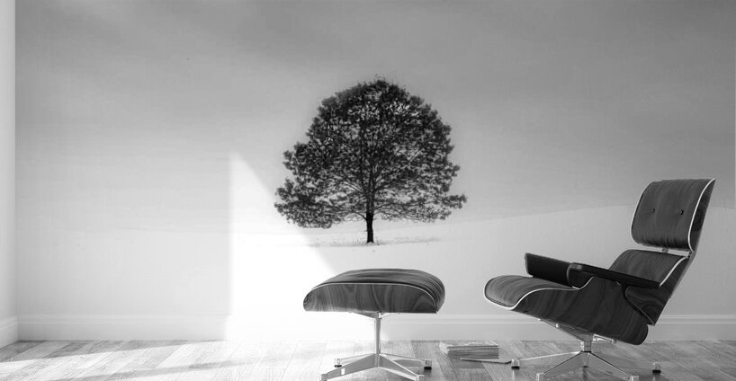 BOSS TREE Wall Murals