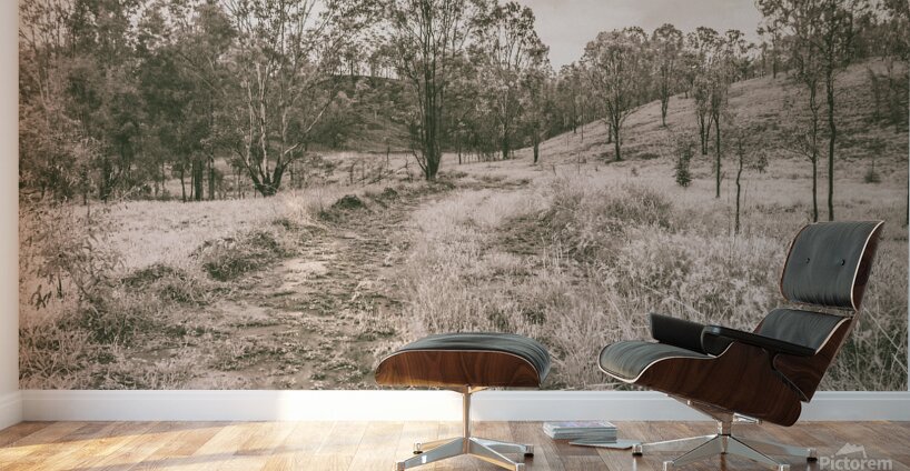 Way beyond outback Wall Murals