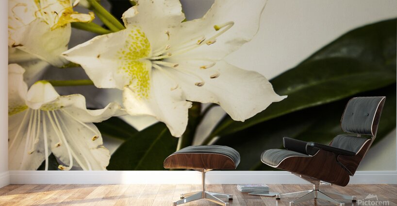 Japanese flower art Wall Murals