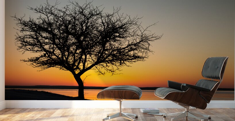 Morning Golden Hour Wall Murals
