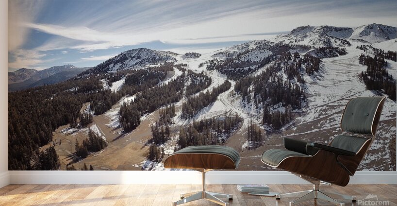 Olivier St-onge 10 Wall Murals