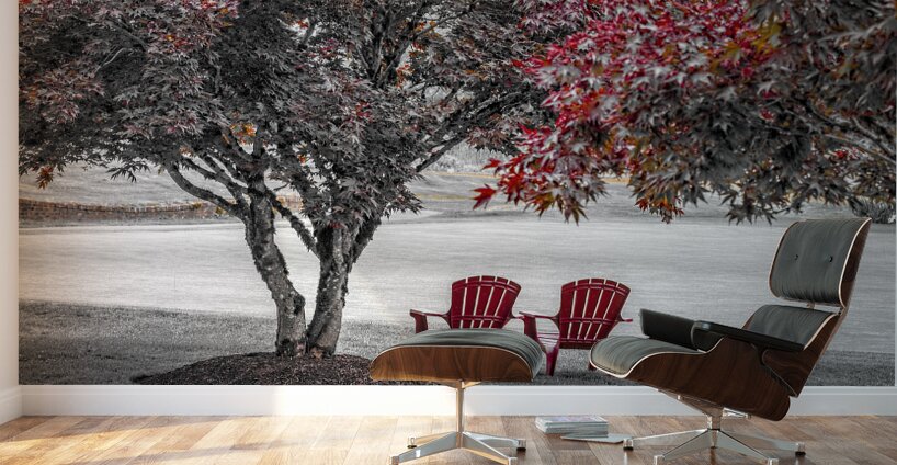 FS210731 RED CHAIRS Wall Murals